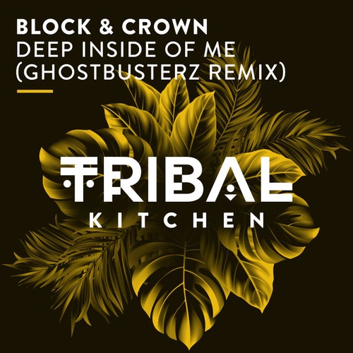 Block & Crown - Deep Inside of Me (Ghostbusterz Remix) [TK270]